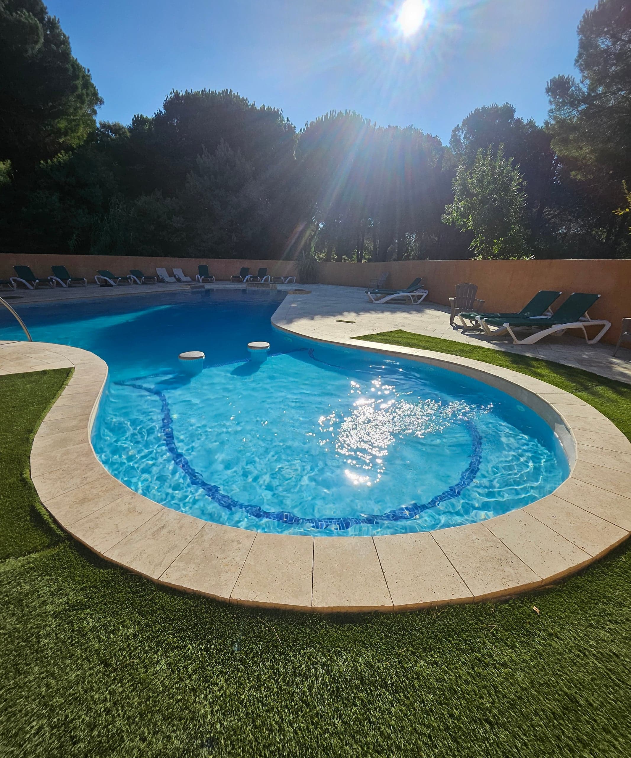 La piscine du parc, entourée de pins — 1