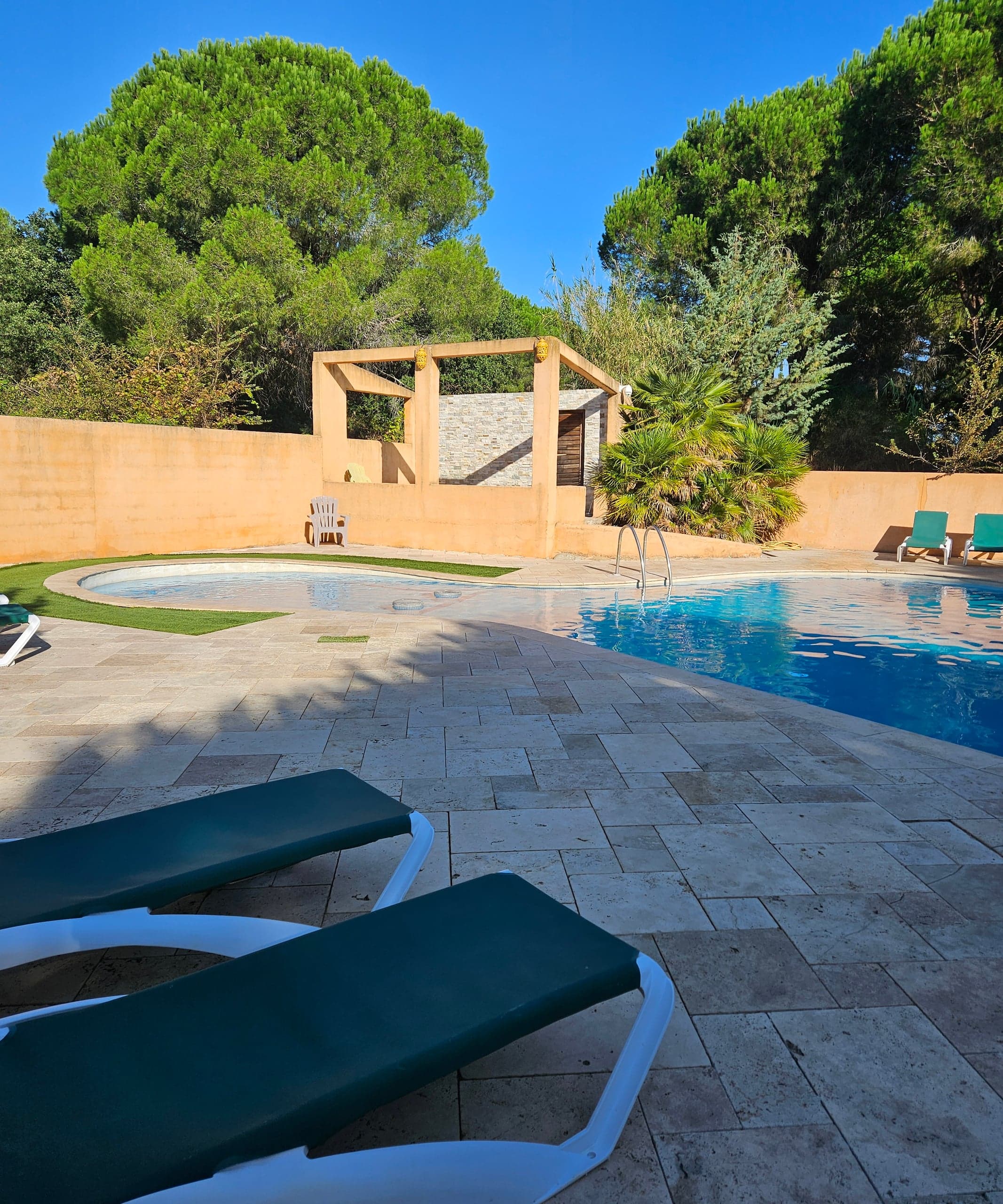 La piscine du parc, entourée de pins — 2