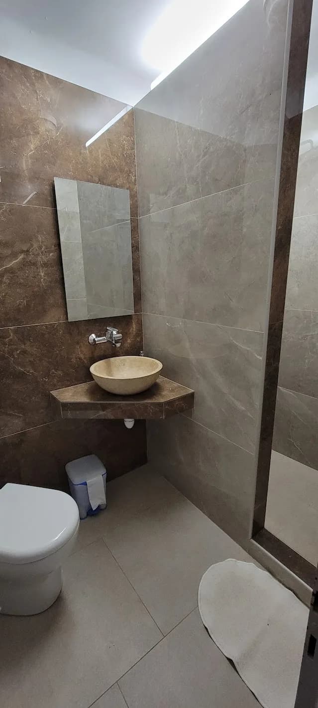 Allocigale_C2_sde.jpg