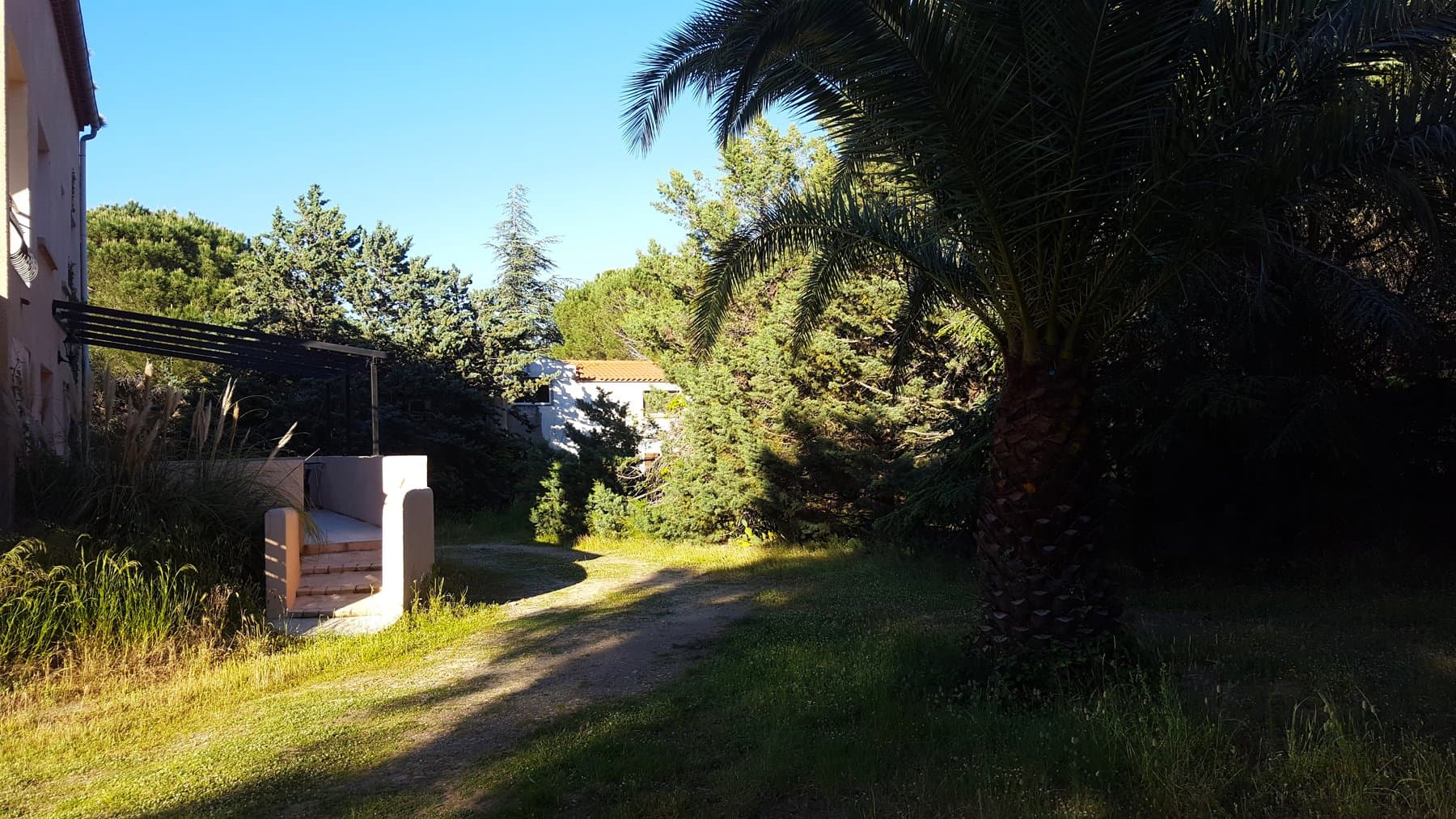 Le parc du domaine : chemins, pinède, clairières et logements sous les arbres — 5