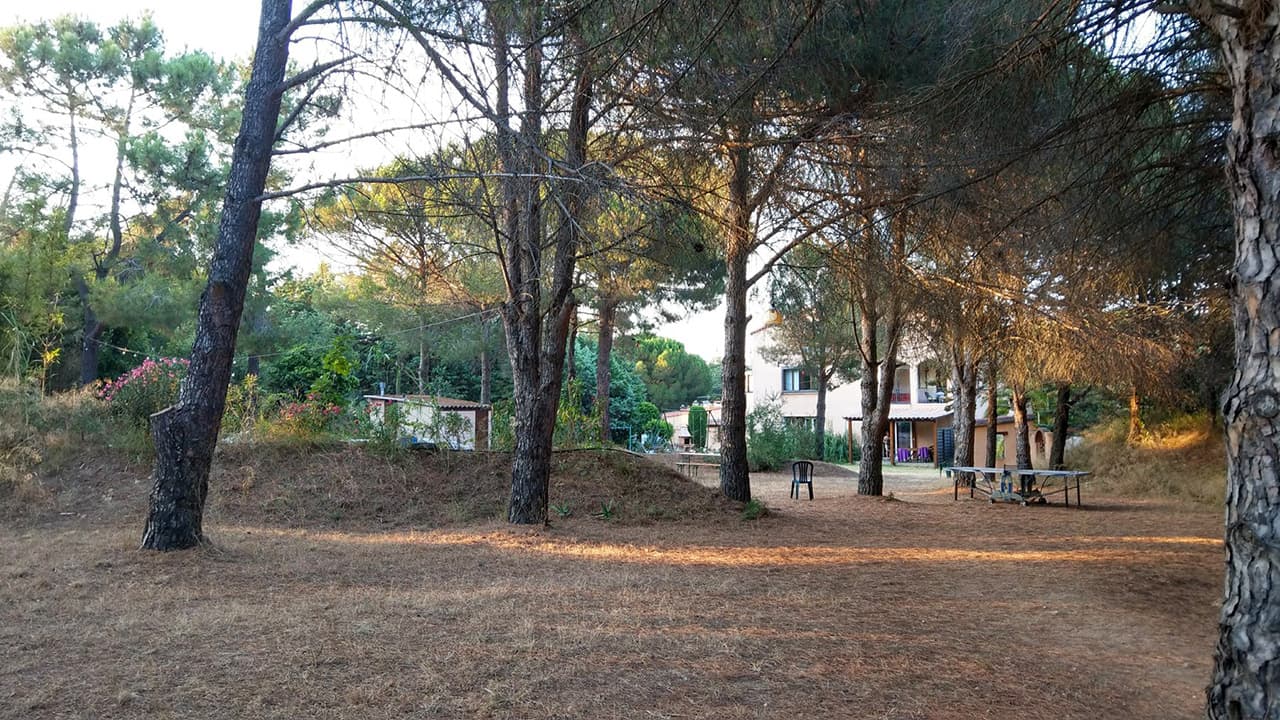 Le parc du domaine : chemins, pinède, clairières et logements sous les arbres — 6