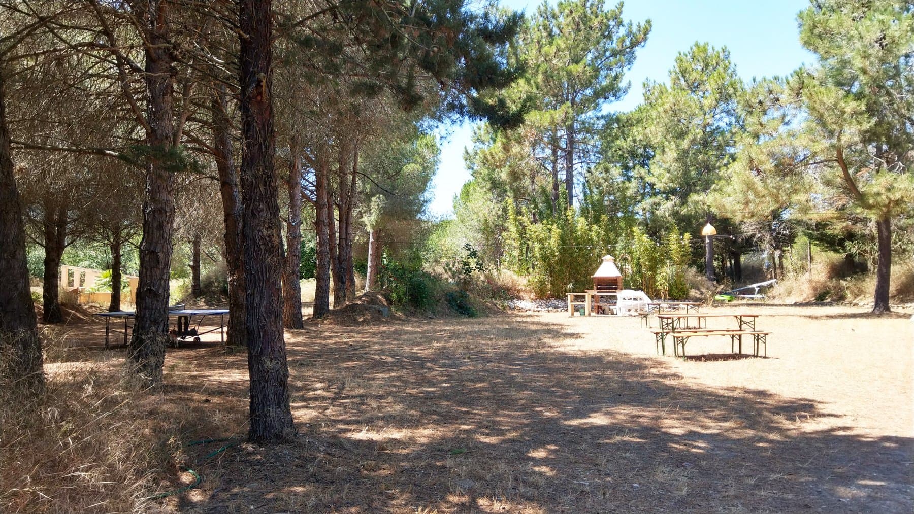 Le parc du domaine : chemins, pinède, clairières et logements sous les arbres — 7